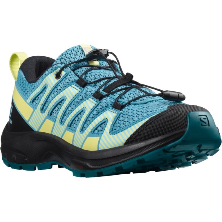 Turquoise Salomon Xa Pro V8 Kids' Hiking Shoes | IE VT5612